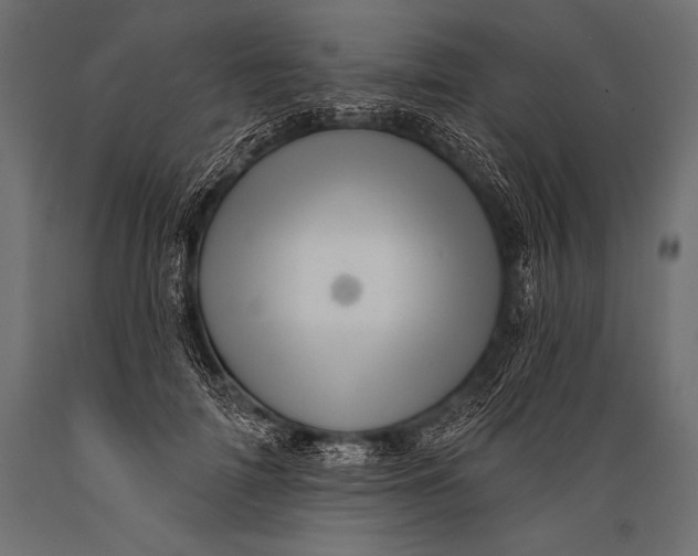 X0000088870698200706291540