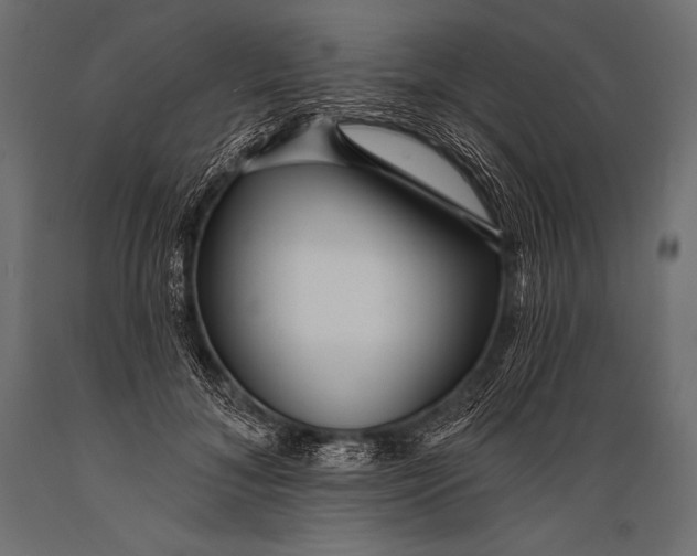 X0000088870700200706291540