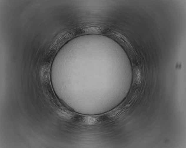 X0000088870701200706291540