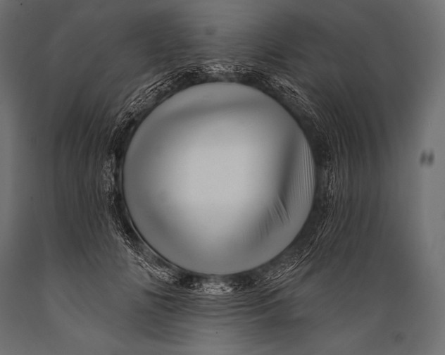 X0000088870702200706291540