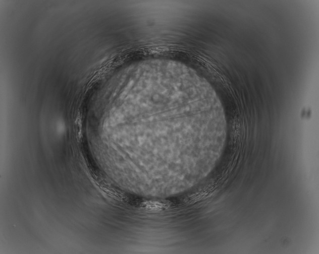 X0000088870703200706291540