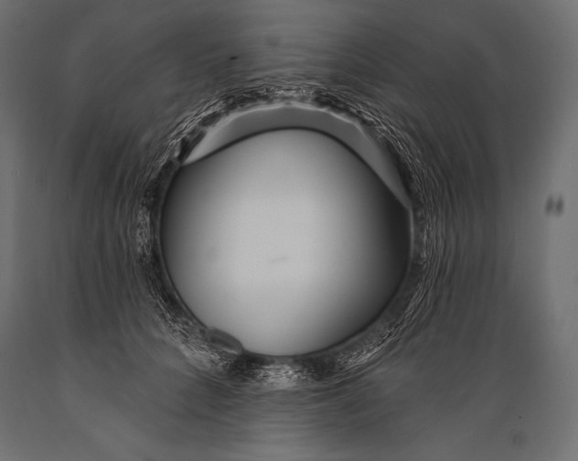 X0000088870704200706291540