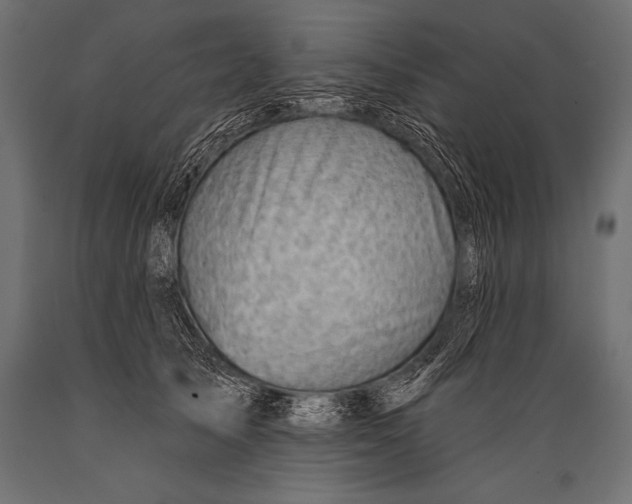 X0000088870705200706291540