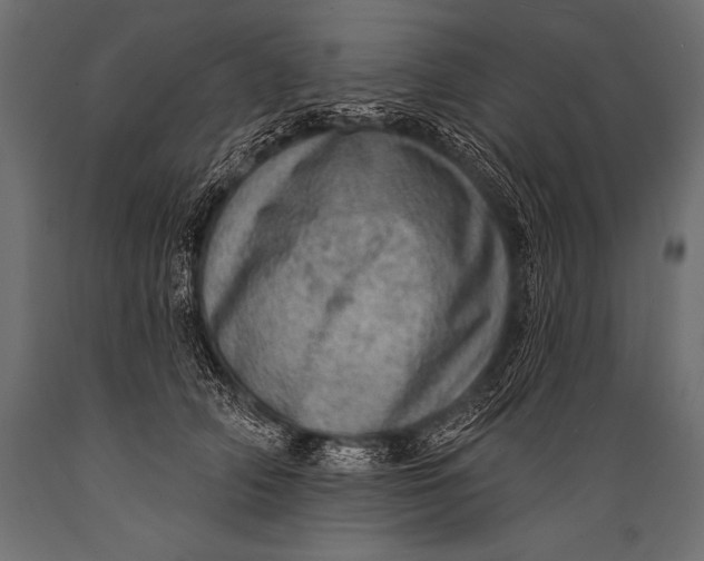 X0000088870706200706291540