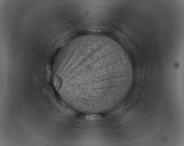 X0000088870707200706291540