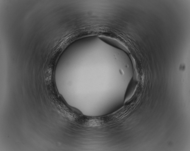 X0000088870708200706291540