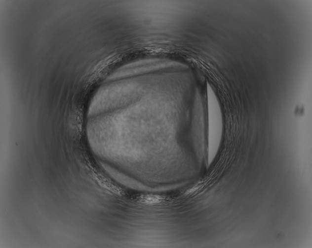 X0000088870710200706291540