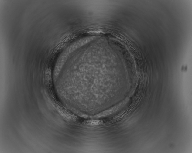 X0000088870711200706291540