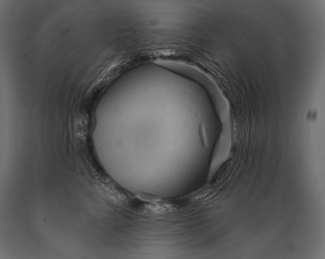 X0000088870712200706291540