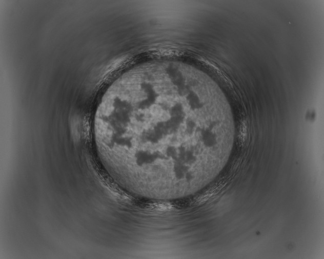 X0000088870715200706291540