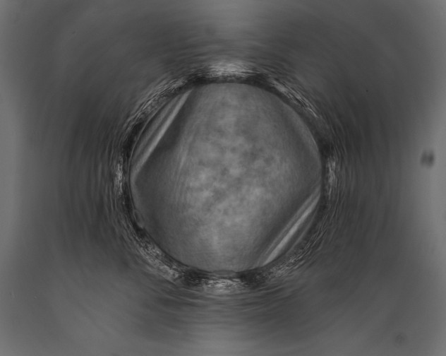 X0000088870716200706291540