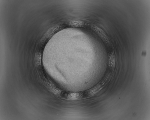 X0000088870717200706291540