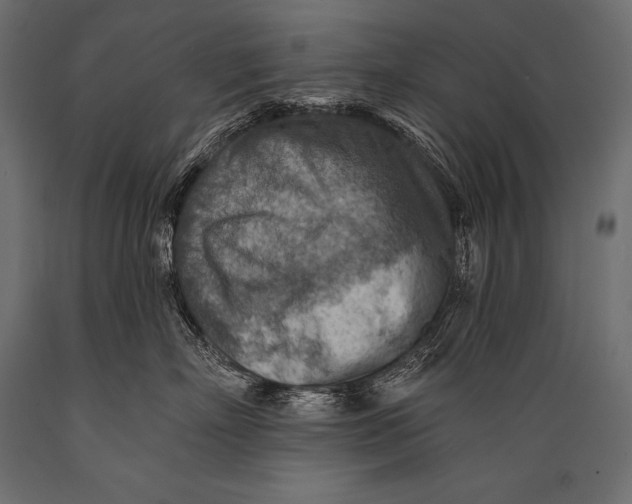X0000088870718200706291540