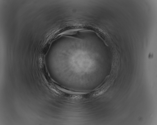 X0000088870720200706291540