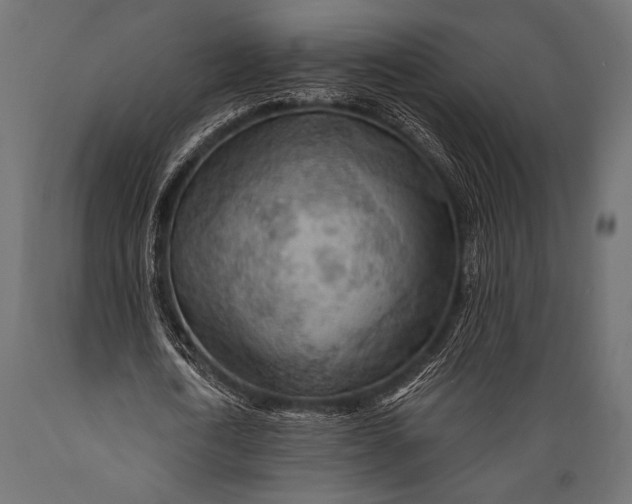 X0000088870722200706291539