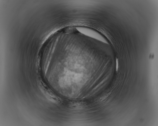 X0000088870723200706291539