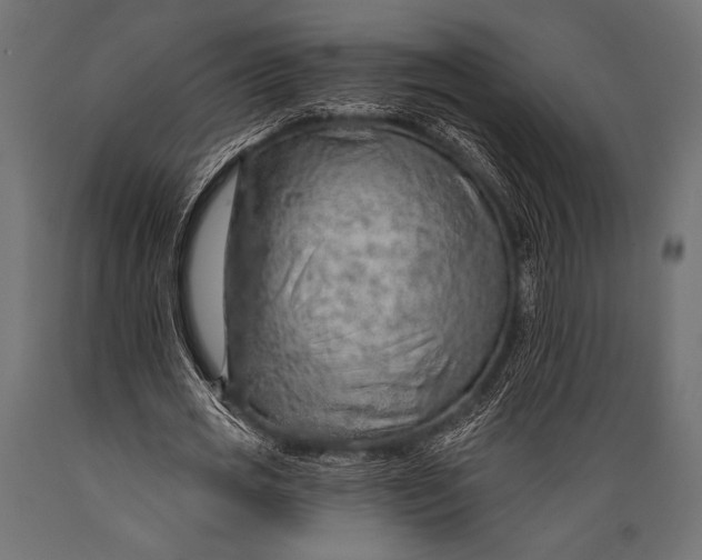 X0000088870725200706291539