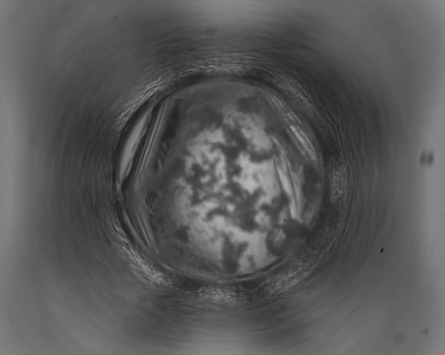 X0000088870729200706291540