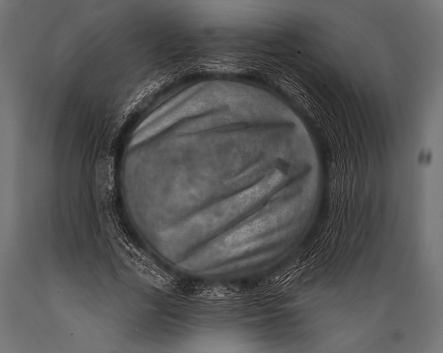 X0000088870731200706291540