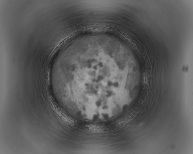 X0000088870733200706291540
