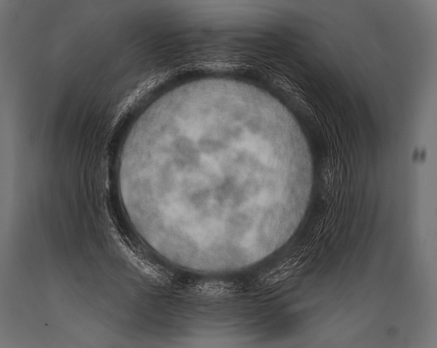 X0000088870734200706291540