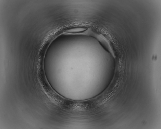 X0000088870736200706291540