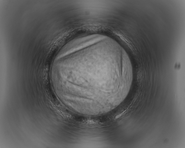 X0000088870737200706291540