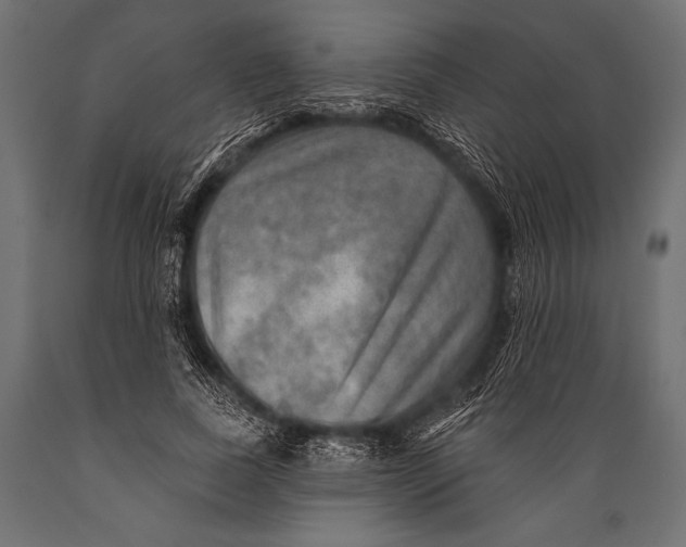 X0000088870739200706291540