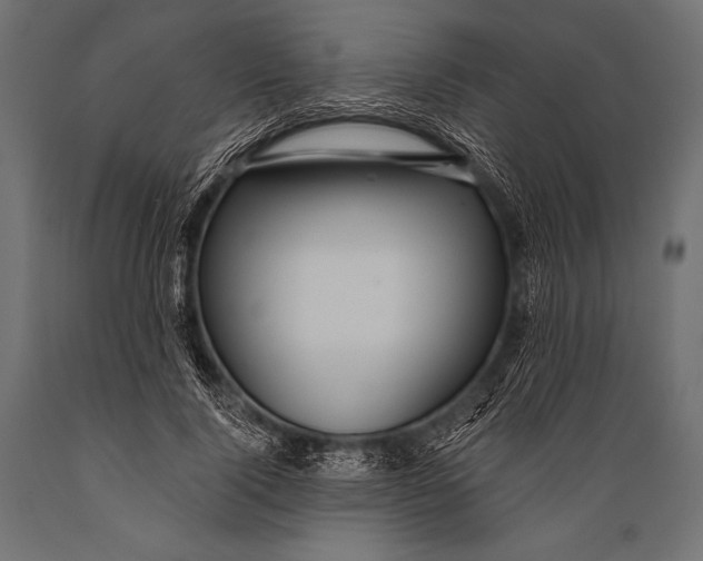 X0000088870740200706291540