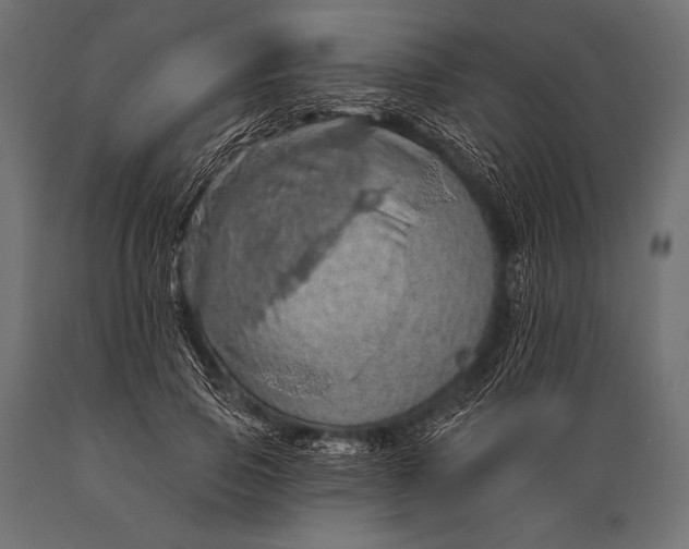 X0000088870741200706291540