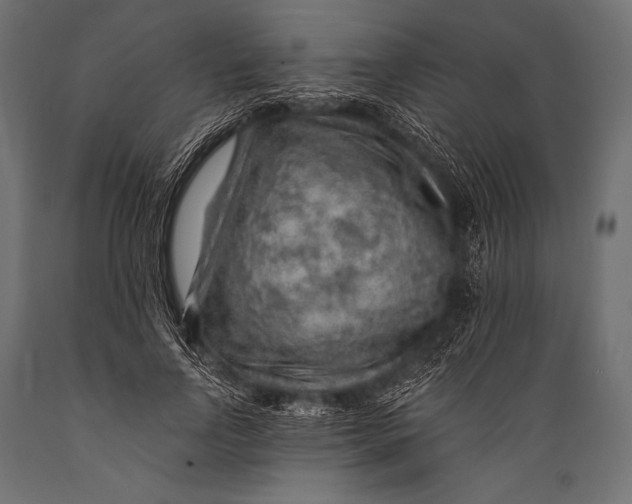 X0000088870742200706291540