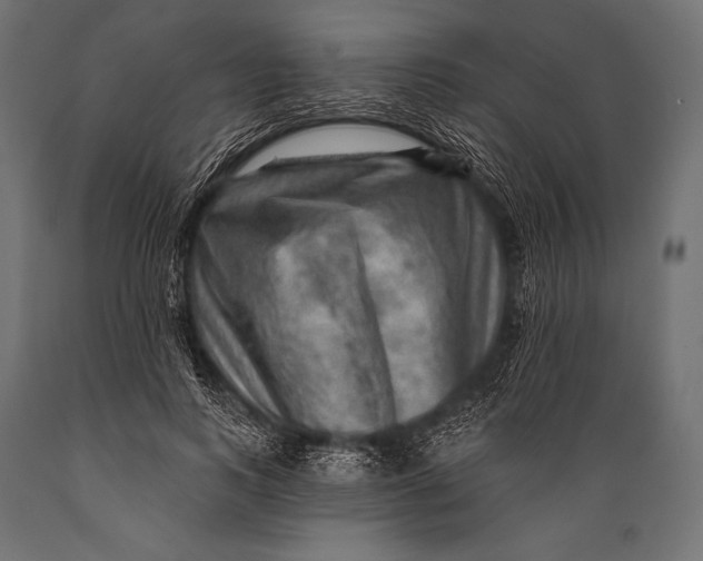 X0000088870743200706291540