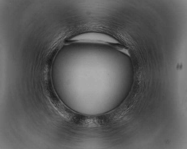X0000088870744200706291540