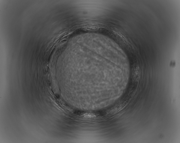 X0000088870749200706291540