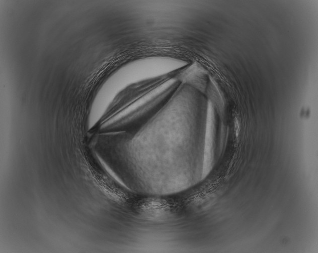 X0000088870750200706291540