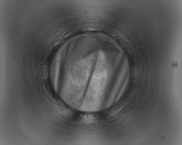 X0000088870751200706291540