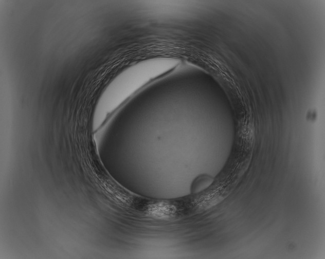 X0000088870754200706291540