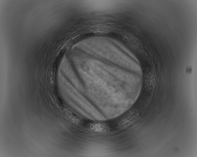 X0000088870755200706291540