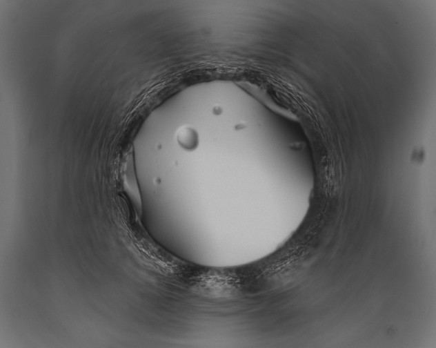 X0000088870756200706291540