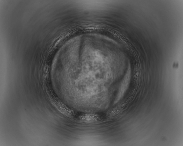 X0000088870758200706291540