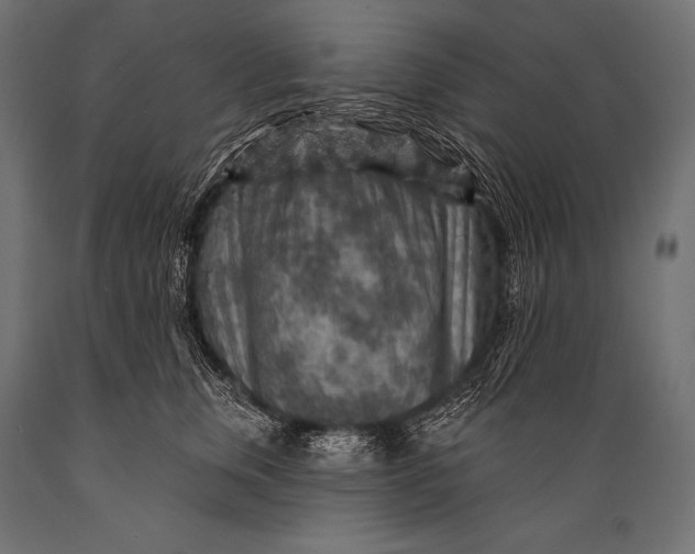 X0000088870759200706291540