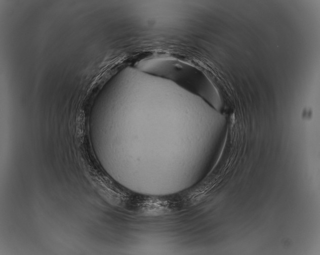 X0000088870760200706291540