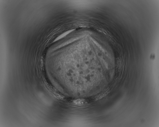 X0000088870761200706291540