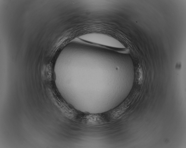 X0000088870762200706291540