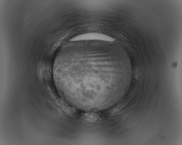 X0000088870763200706291540