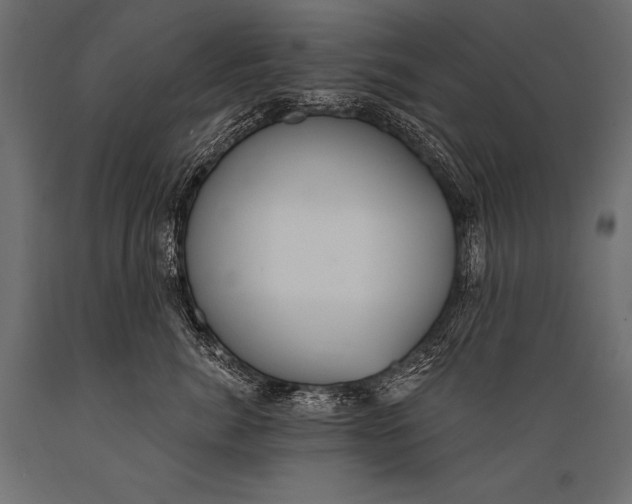 X0000088870764200706291540