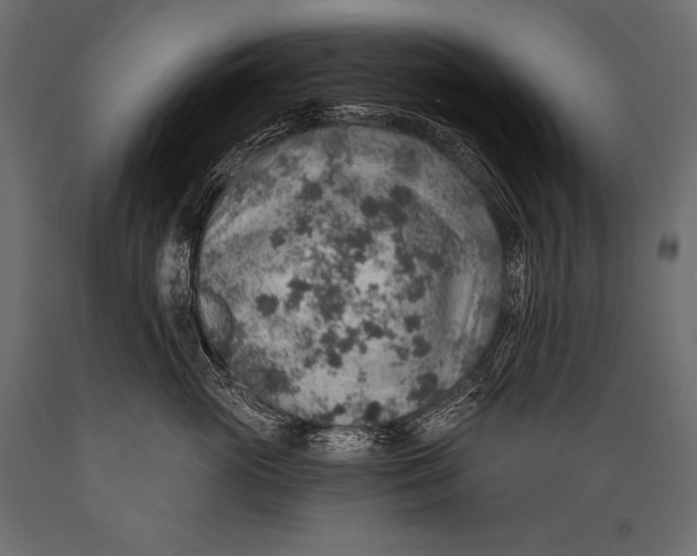 X0000088870765200706291540