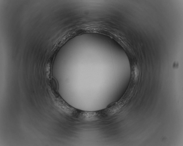 X0000088870767200706291540