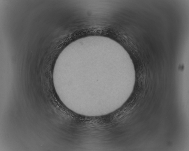 X0000088870769200706291539