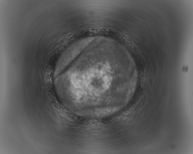 X0000088870770200706291539